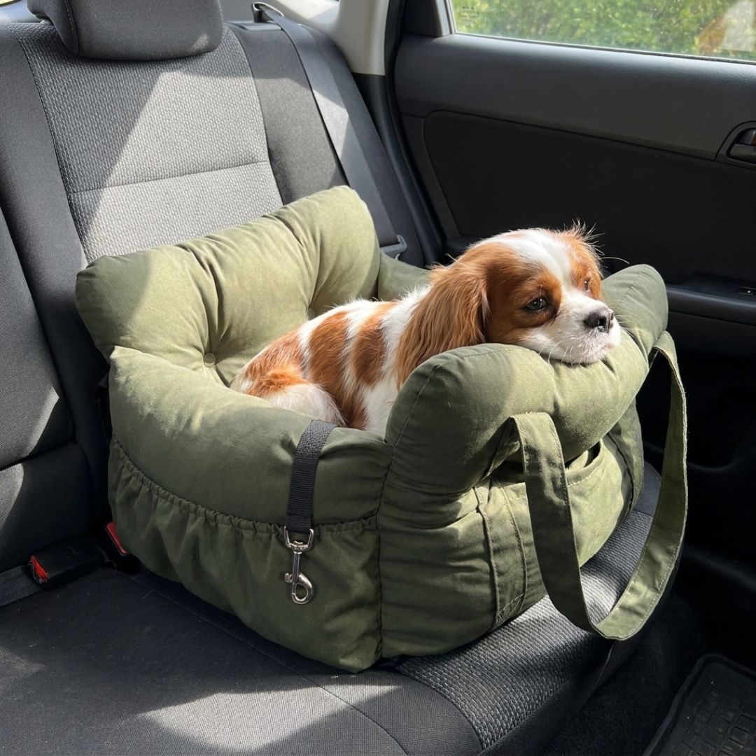 Siège auto pour chien : transporter son chien en voiture en toute sécurité
