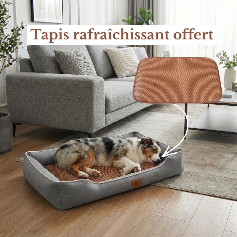 Lit pour Chien Respirant - Tapis Rafraîchissant & Rebord Confort | BALI