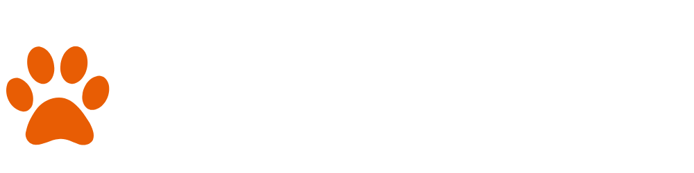 Hundsy