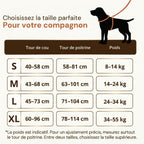 Guide des tailles harnais BRASKO HUNDSY — S M L XL