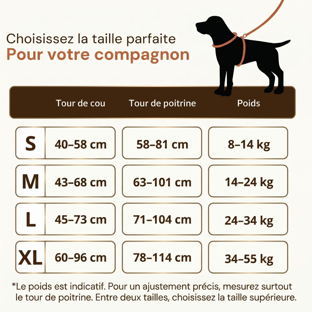 Guide des tailles harnais BRASKO HUNDSY — S M L XL