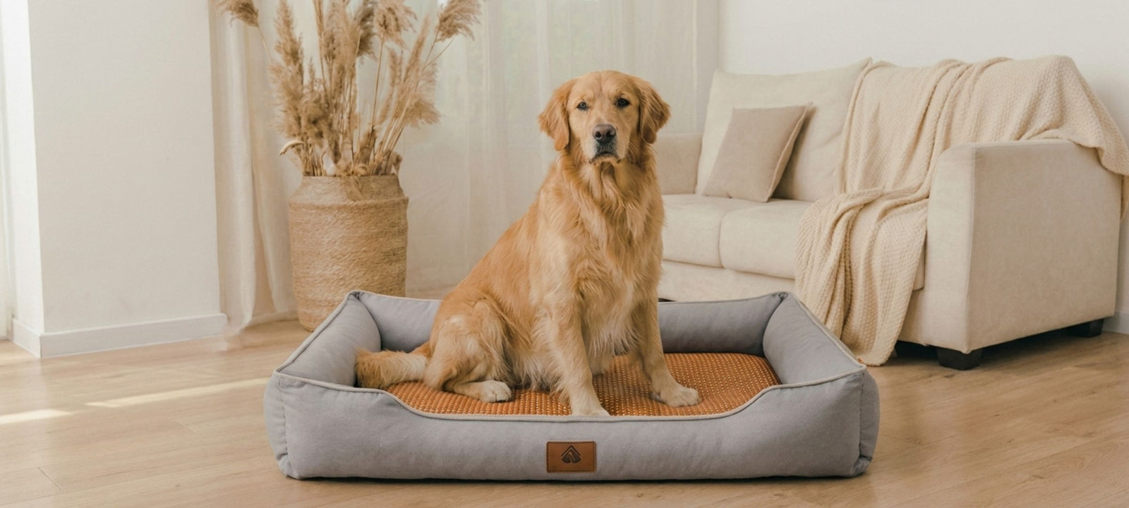Panier pour chien