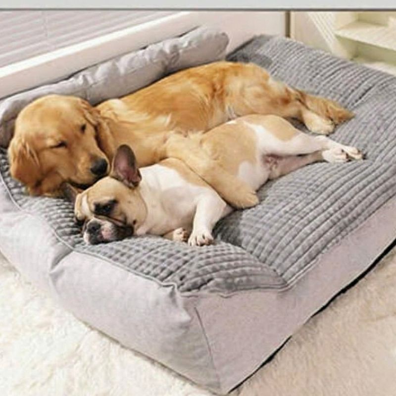 Coussin  pour chien confort à mémoire de forme - Housse Lavable | LOKI