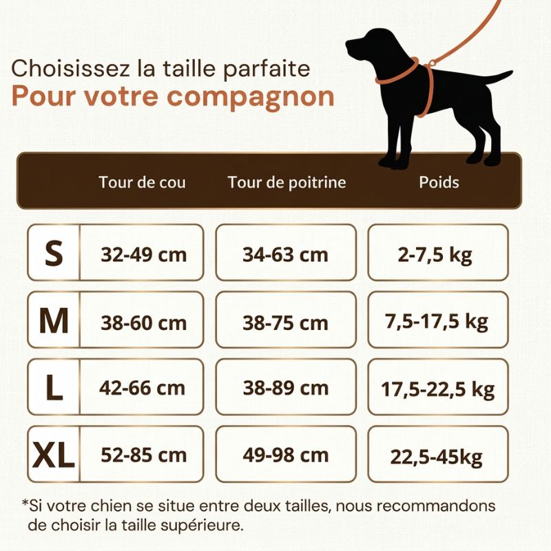 Harnais anti-traction HUNDSY - guide des tailles tour de poitrine