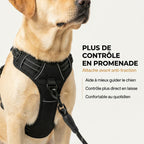 Harnais anti-traction HUNDSY - anneau frontal no-pull gros plan