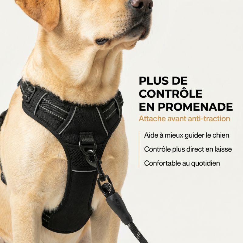 Harnais anti-traction HUNDSY - anneau frontal no-pull gros plan