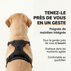 Harnais anti-traction HUNDSY - attache dorsale et poignee de maintien