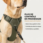 Harnais tactique anti-traction pour chien | BRASKO