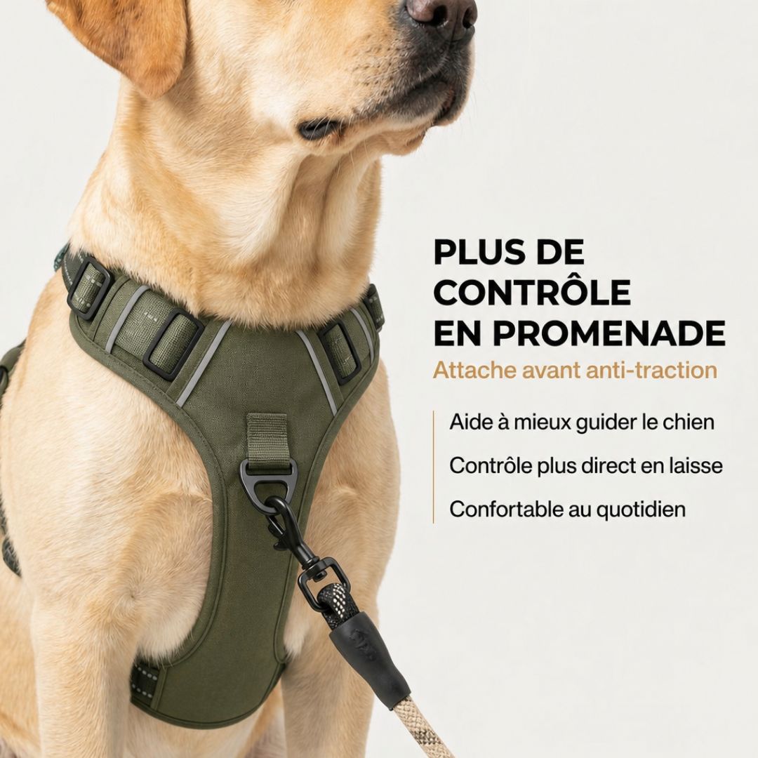 Harnais tactique anti-traction pour chien | BRASKO