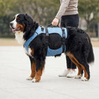 Harnais de soutien pour chien avec poignée de levage | ORKA