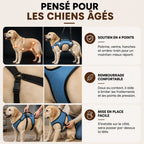 Harnais de soutien pour chien avec poignée de levage | ORKA
