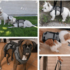 Harnais de soutien pour chien avec poignée de levage | ORKA