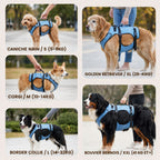 Harnais de soutien pour chien avec poignée de levage | ORKA
