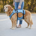 Harnais de soutien pour chien avec poignée de levage | ORKA