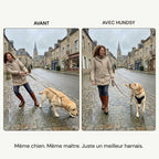 Harnais anti-traction HUNDSY - comparaison avant apres balade