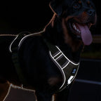 Harnais RANGER HUNDSY — bandes réfléchissantes intégrées