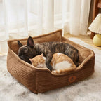 Chien avec Panier pour chien velours CORDUROY HUNDSY