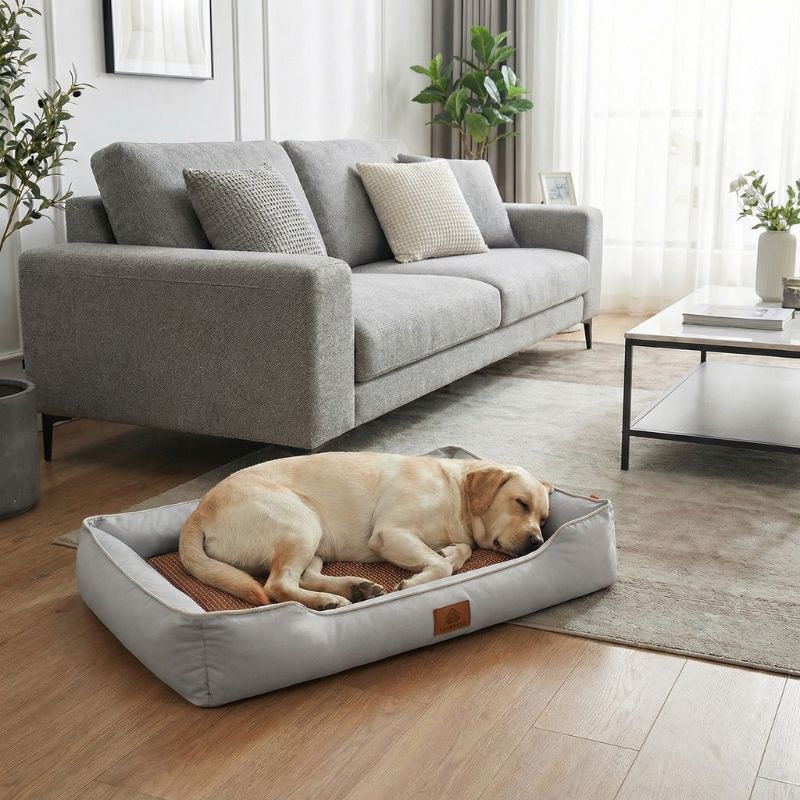 Lit pour Chien Respirant - Tapis Rafraîchissant & Rebord Confort | BALI