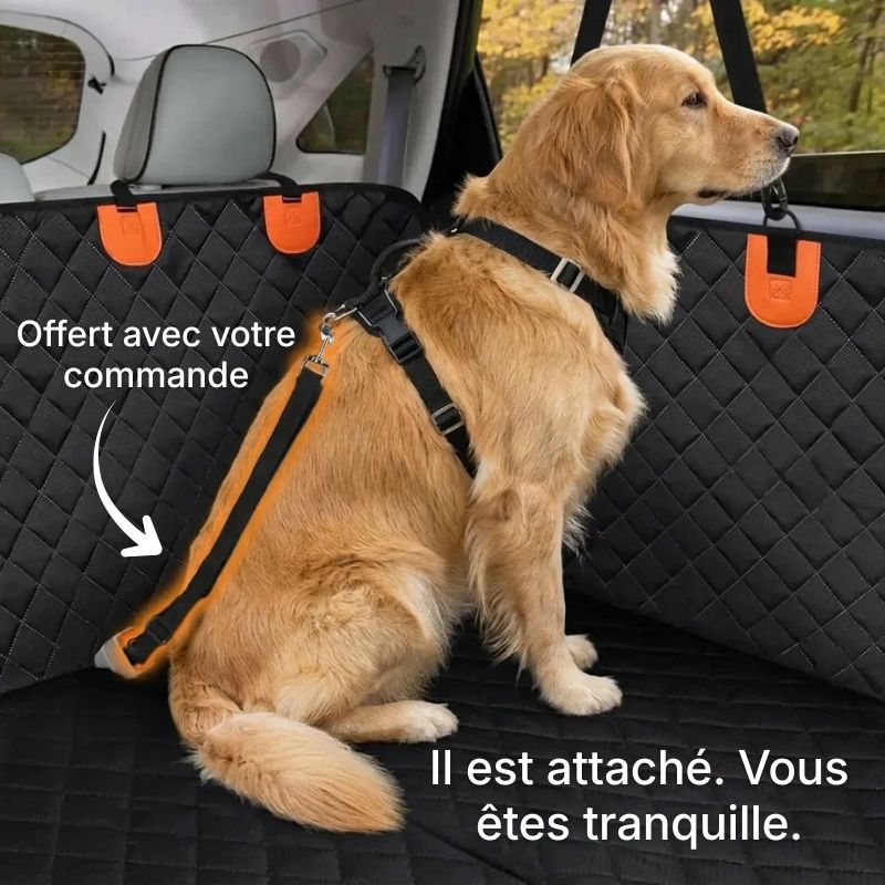 Chien avec Housse voiture pour chien CARGO HUNDSY