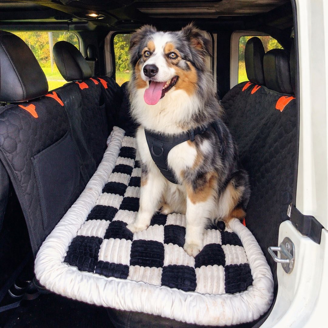 Tapis voiture pour chien Matelas CARGO HUNDSY — coloris noir
