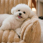 Chien avec Lit pour chien OSLO HUNDSY