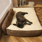 Chien avec Coussin pour chien LOKI HUNDSY