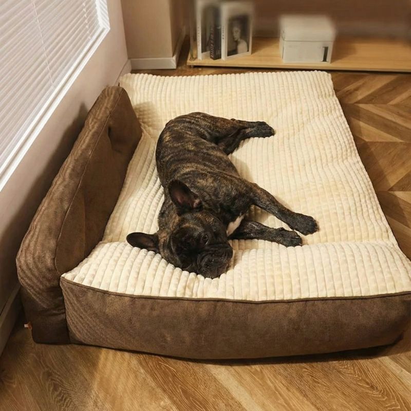 Chien avec Coussin pour chien LOKI HUNDSY