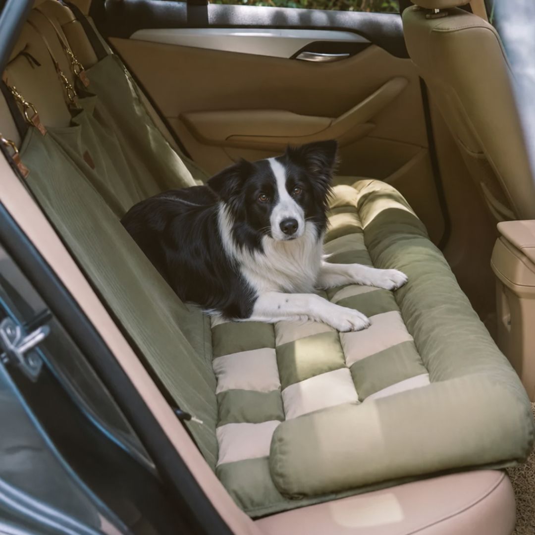 Housse siège auto pour chien NAYA HUNDSY — coloris vert