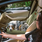 Housse siège auto pour chien NAYA HUNDSY — coloris vert