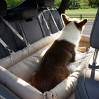 Chien avec Siège auto pour chien NOMAD HUNDSY