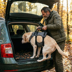 Harnais de soutien pour chien avec poignée de levage | ORKA