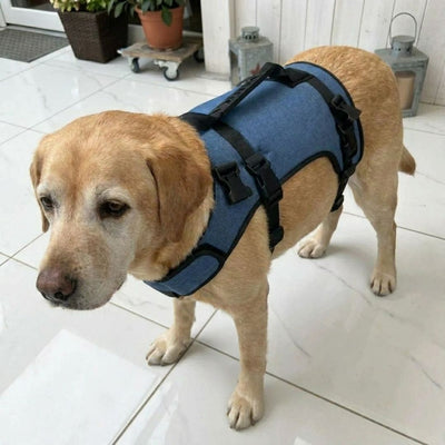 Avis client Hundsy