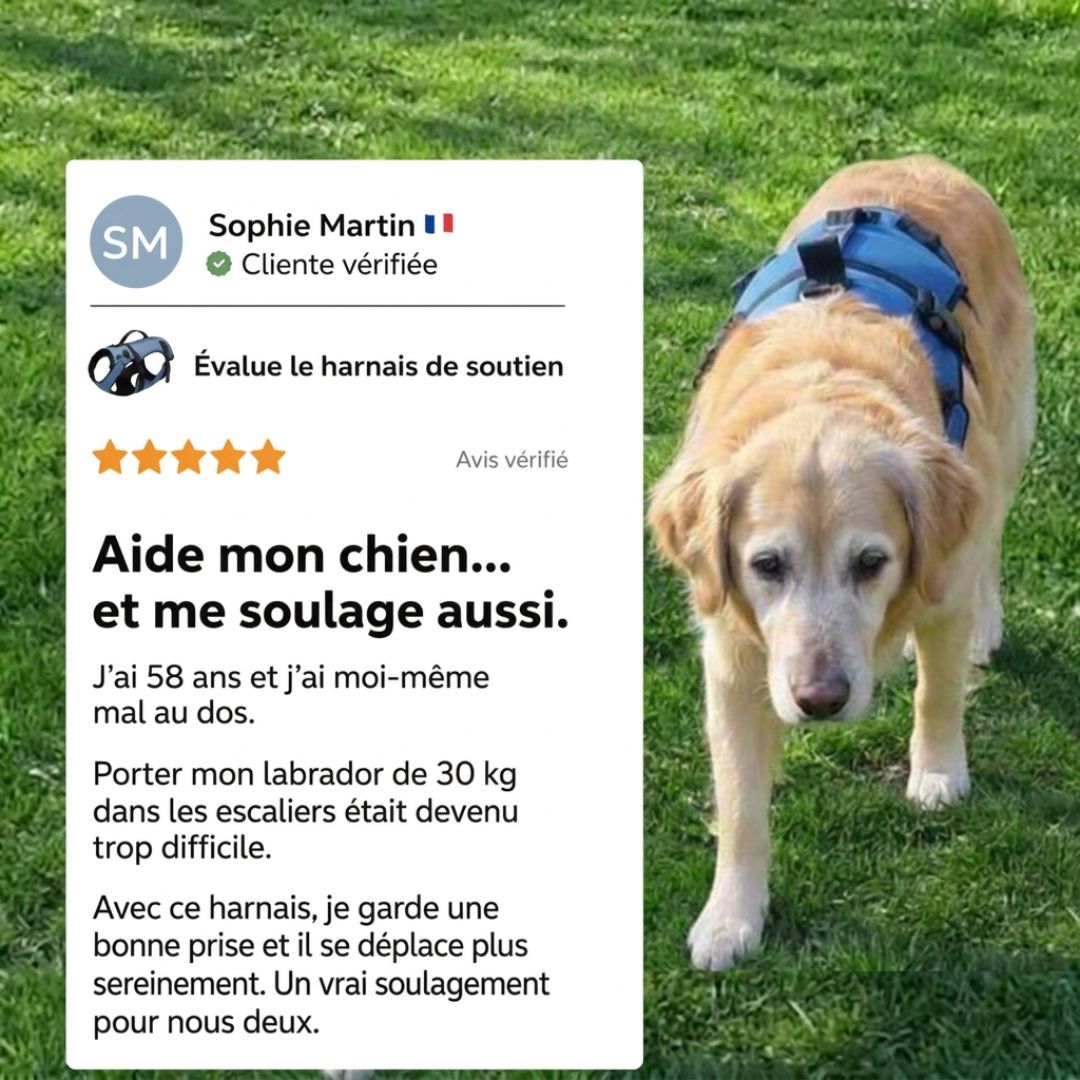 Harnais de soutien pour chien avec poignée de levage | ORKA
