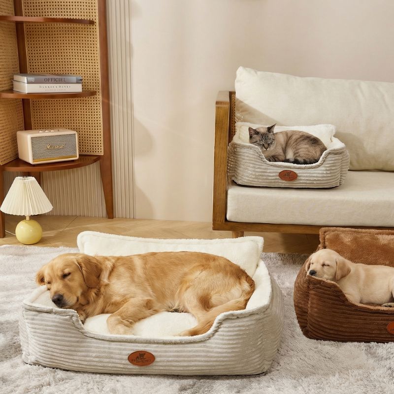 Panier pour Chien - Confort Velours & Housse Lavable | CORDUROY