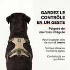 Harnais RANGER HUNDSY — poignée dorsale de maintien