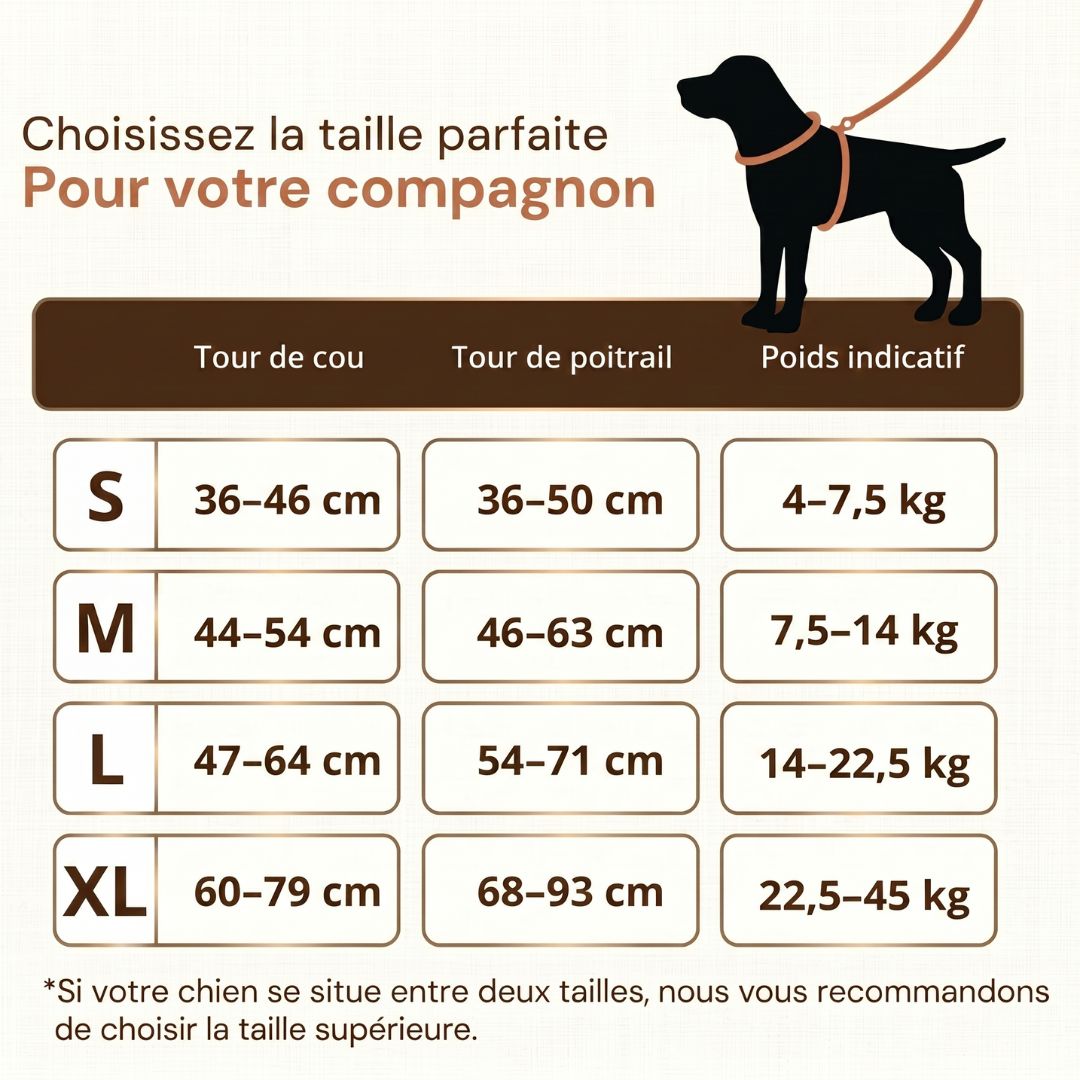 Guide des tailles harnais RANGER HUNDSY — S M L XL