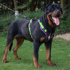 Harnais RANGER HUNDSY coloris violet — vue dos