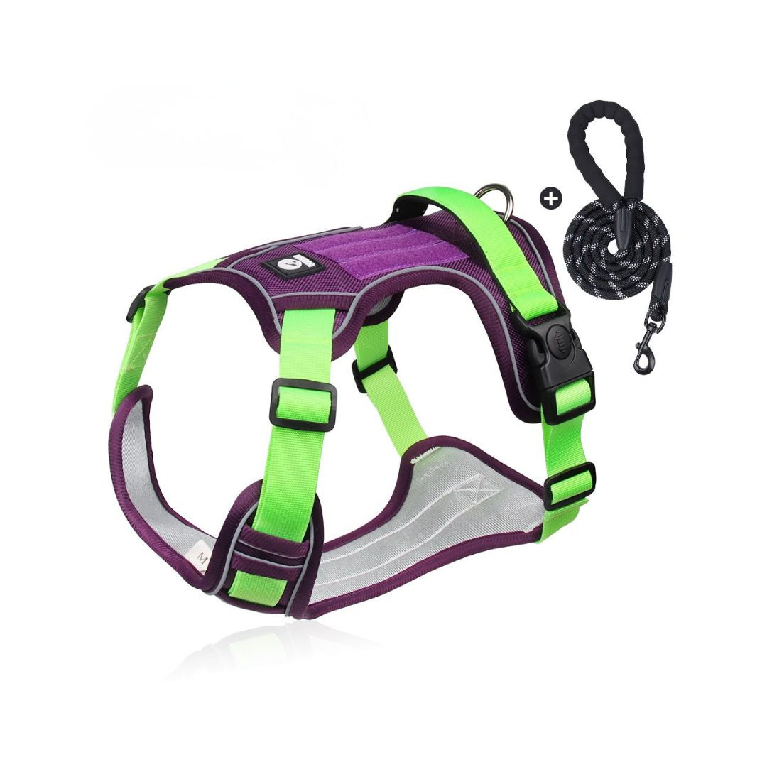 Harnais RANGER HUNDSY coloris violet et vert