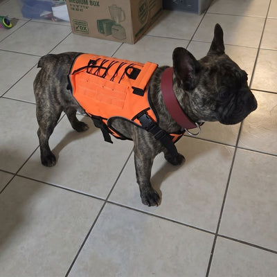 Avis client Hundsy