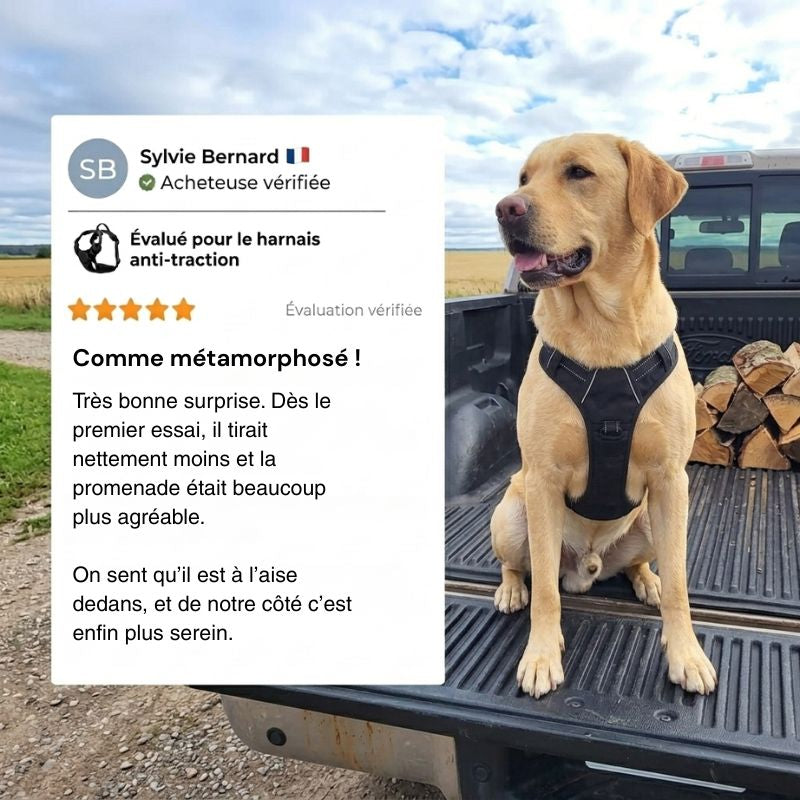 Harnais anti traction pour chien | HUNDSY™