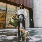 Siège auto pour chien NOMAD HUNDSY — coloris vert