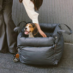 Chien avec Siège auto pour chien NOMAD HUNDSY