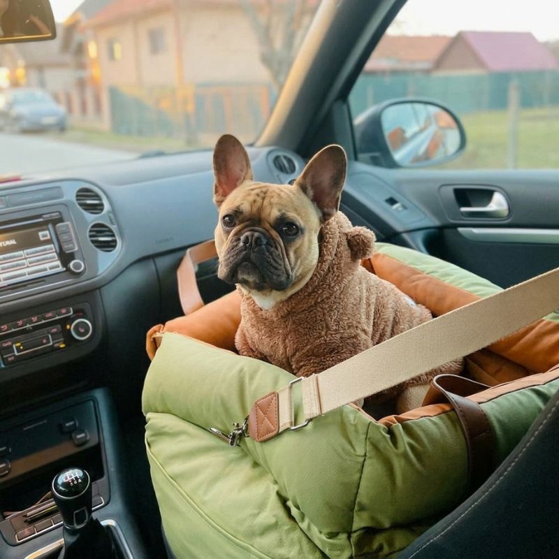 Chien avec Siège auto pour chien NOMAD HUNDSY