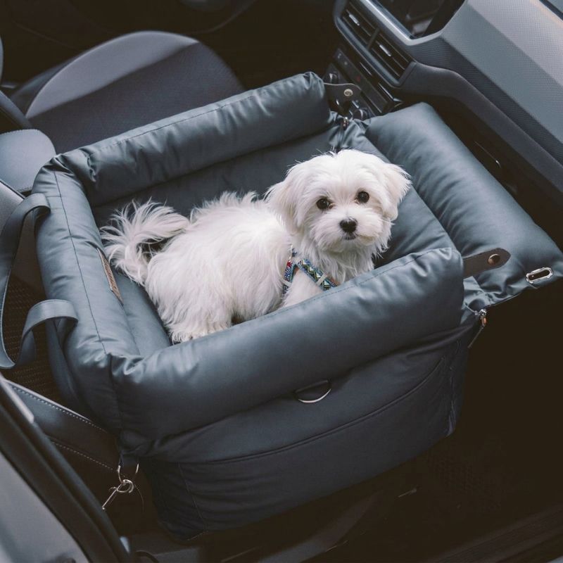 Chien avec Siège auto pour chien NOMAD HUNDSY