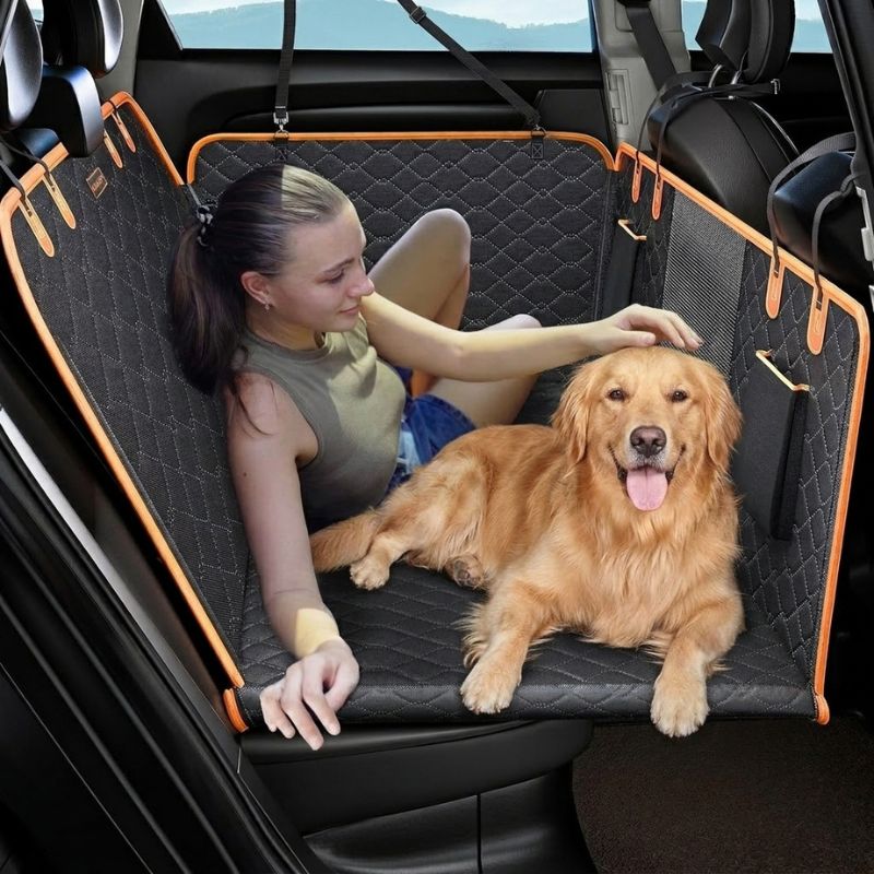 Chien avec Housse voiture pour chien CARGO HUNDSY