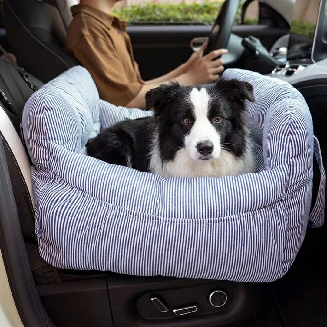 Siège auto pour chien SORA HUNDSY — coloris bleu