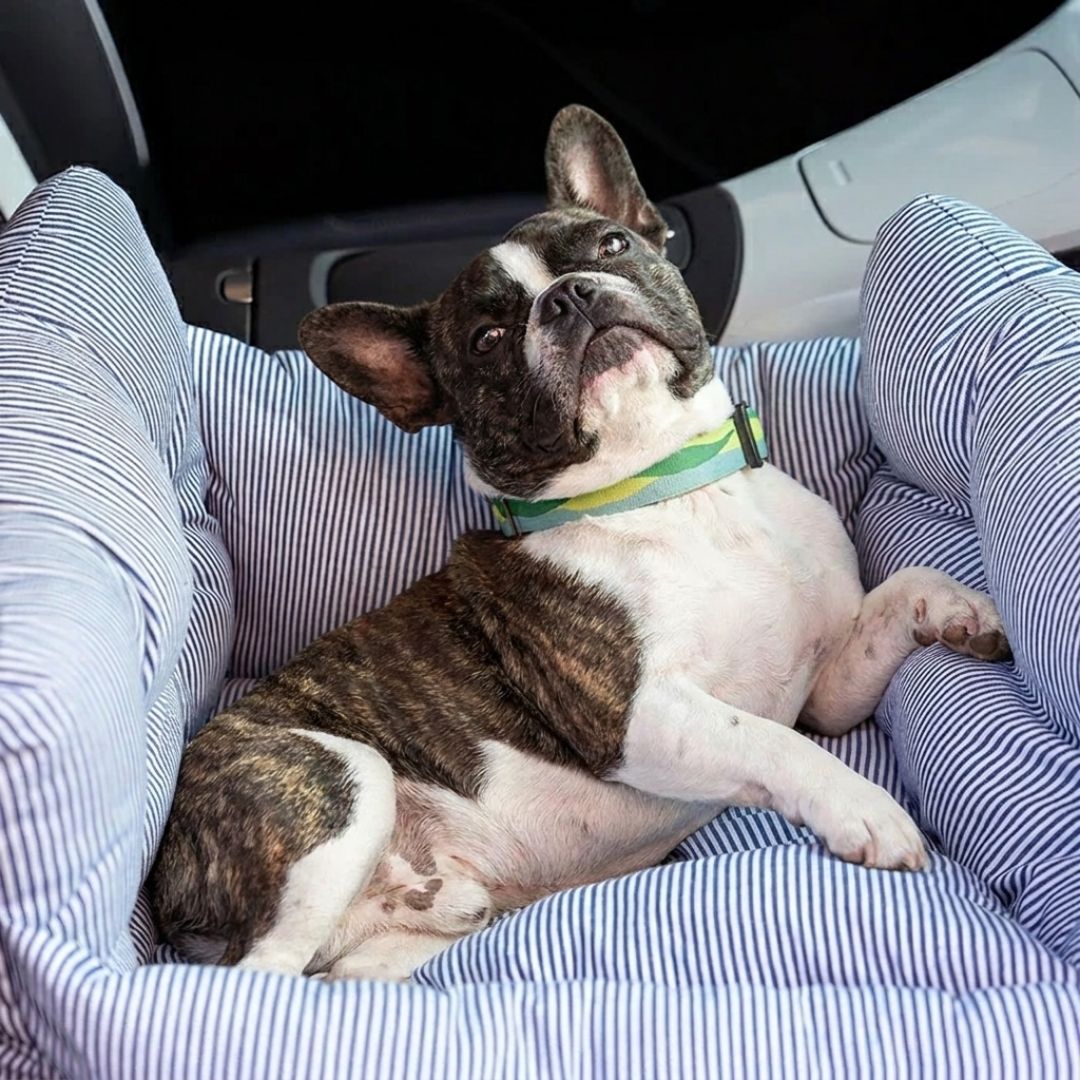 Siège auto pour chien SORA HUNDSY — coloris bleu