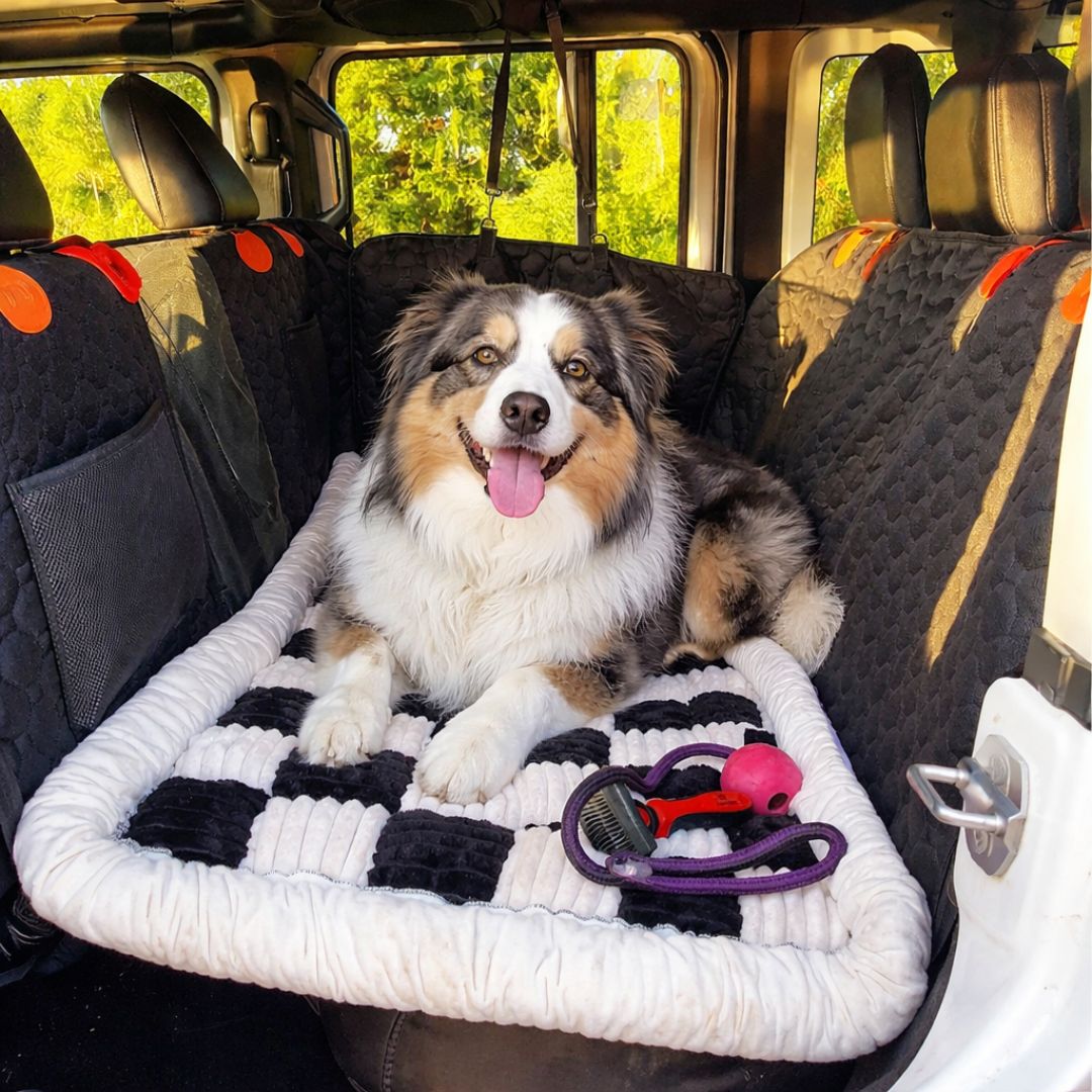 Tapis voiture pour chien Matelas CARGO HUNDSY