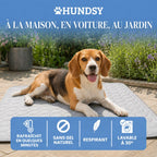 Tapis rafraîchissant pour chien | HUNDSY