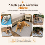 Tapis rafraîchissant pour chien | HUNDSY